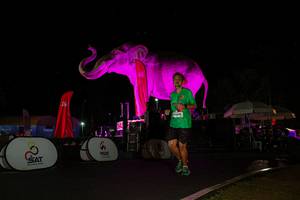 BIB: 
                            <button type="button" onclick="openModal(26543569)" class="btn btn-primary btn-sm float-right btn-popup" data-toggle="modal" data-target=".modal-high-quality">
                        <i class="fas fa-shopping-cart"></i> Add to Cart
                    </button>
                                            <button type="button" onclick="isThisMe(26543569, true)" class="btn btn-success btn-sm float-right btn-popup btn-isme hidden" data-toggle="tooltip" data-placement="bottom" title="นี่คือรูปของคุณใช่ไหม คลิกที่นี่เพื่อเอาเข้าอัลบั้ม">
                        <i class="fas fa-plus"></i> Add to album
                    </button>
                    <button type="button" onclick="isThisMe(26543569, false)" class="btn btn-warning btn-sm float-right btn-popup btn-isnotme hidden">
                        <i class="fas fa-ban"></i> Remove from album
                    </button>